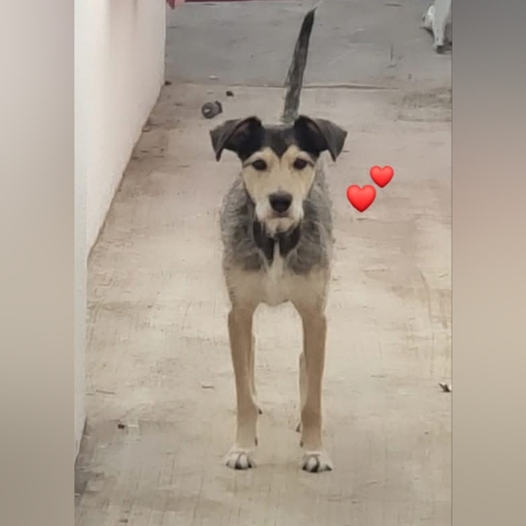 Steven - Picture 7 of 7